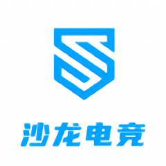 沙龙电竞软件