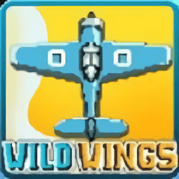 狂野之翼最新版游戏