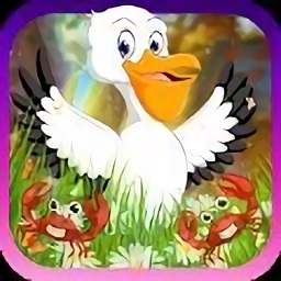 有趣的鹈鹕逃生手机版(funny pelican escape)