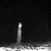 微盟达人助手app